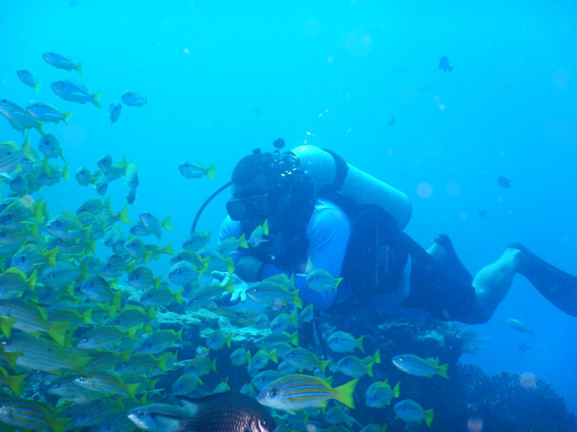 BesirRaja Ampat Blue Sea别墅 外观 照片