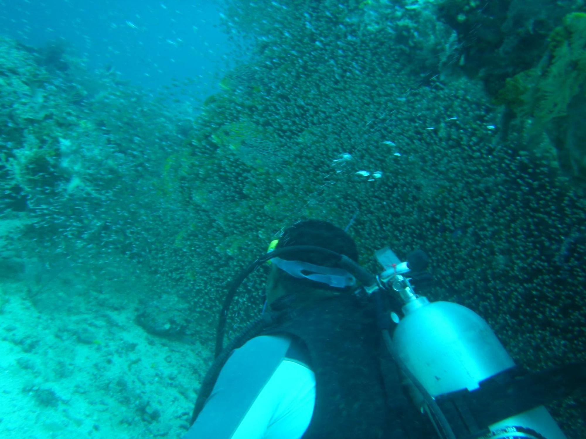 BesirRaja Ampat Blue Sea别墅 外观 照片