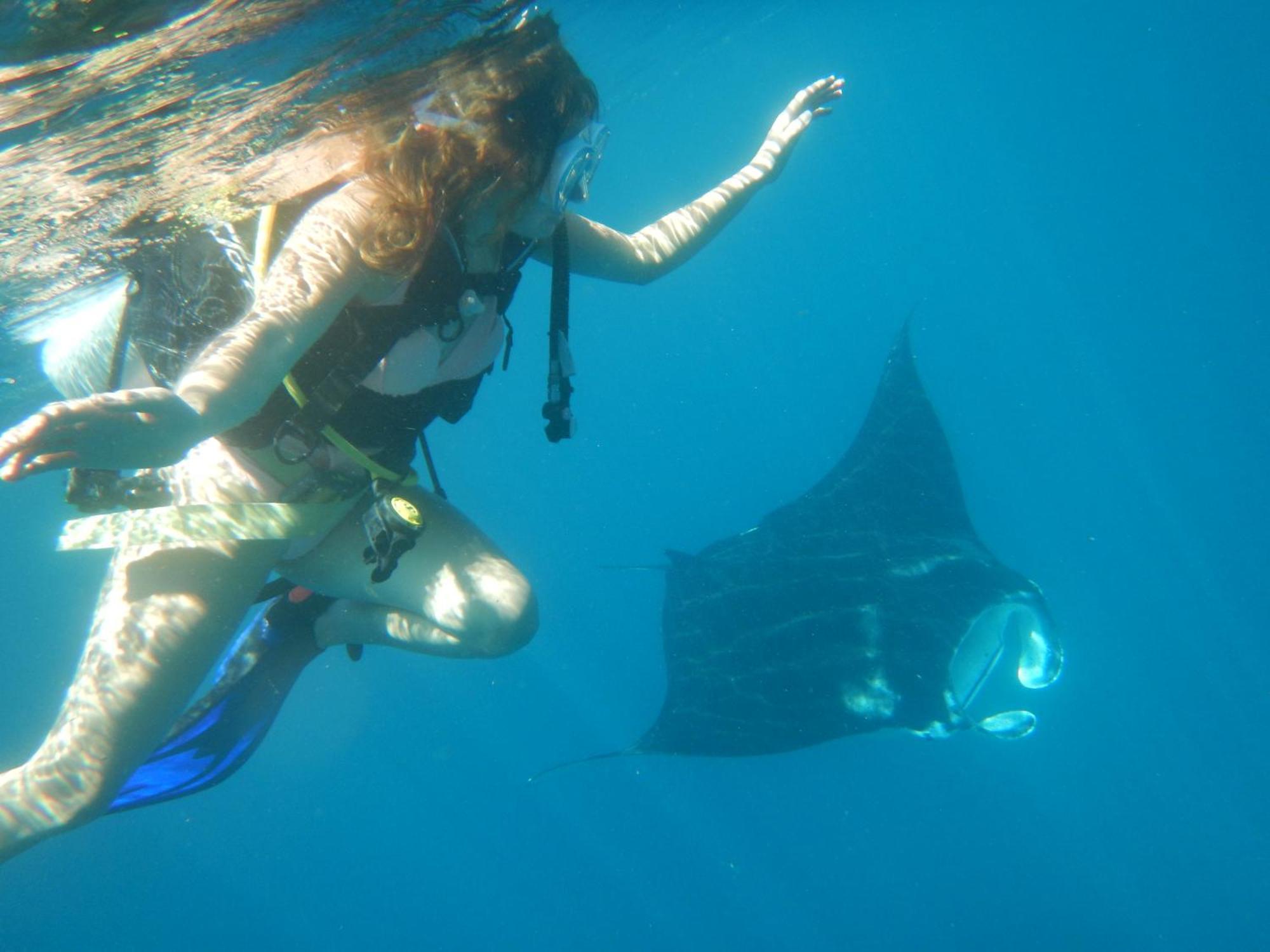 BesirRaja Ampat Blue Sea别墅 外观 照片